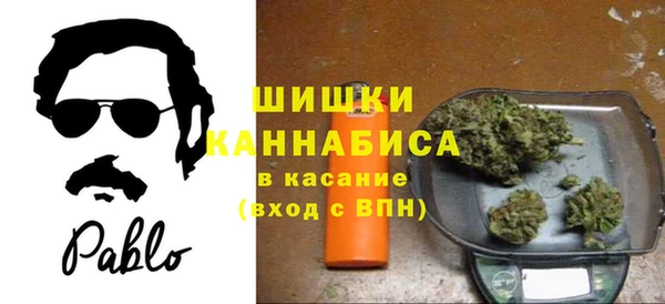 трава Гусиноозёрск