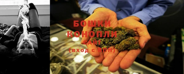 трава Гусиноозёрск