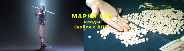 трава Гусиноозёрск