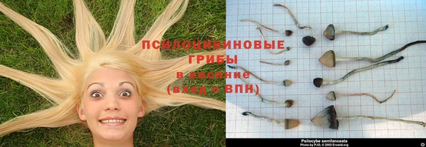 трава Гусиноозёрск