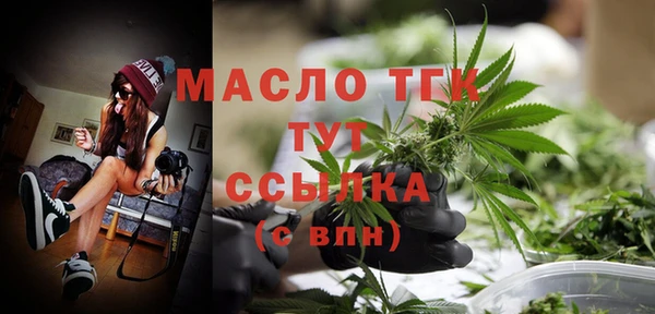 мяу мяу кристалл Гусь-Хрустальный