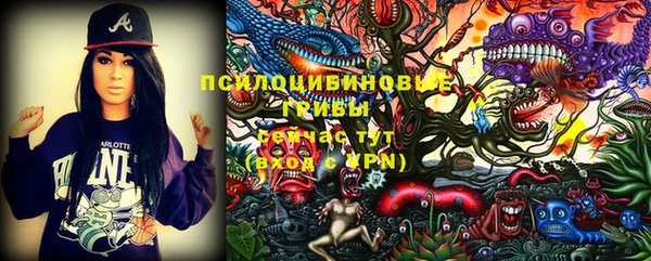 трава Гусиноозёрск