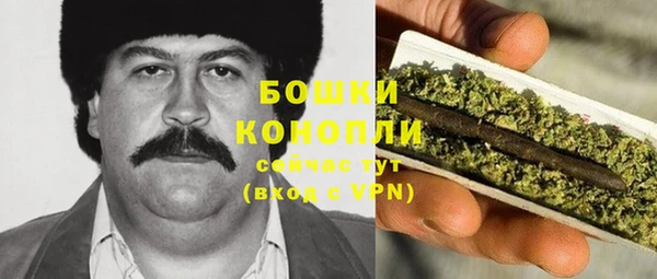 мяу мяу кристалл Гусь-Хрустальный