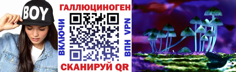 Псилоцибиновые грибы Magic Shrooms  Купить где  Ипатово 